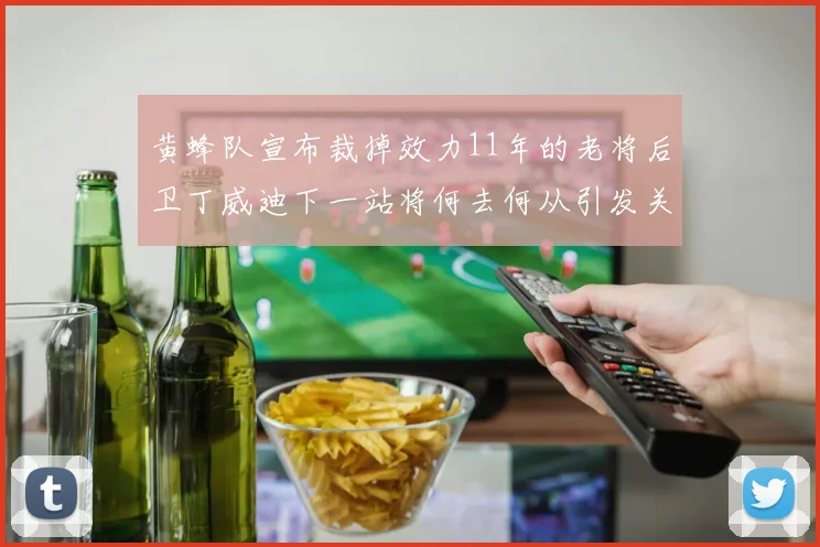 黄蜂队宣布裁掉效力11年的老将后卫丁威迪下一站将何去何从引发关注