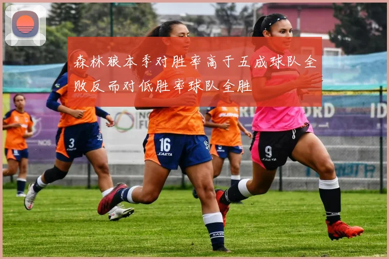 森林狼本季对胜率高于五成球队全败反而对低胜率球队全胜