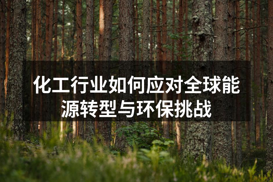 化工行业如何应对全球能源转型与环保挑战